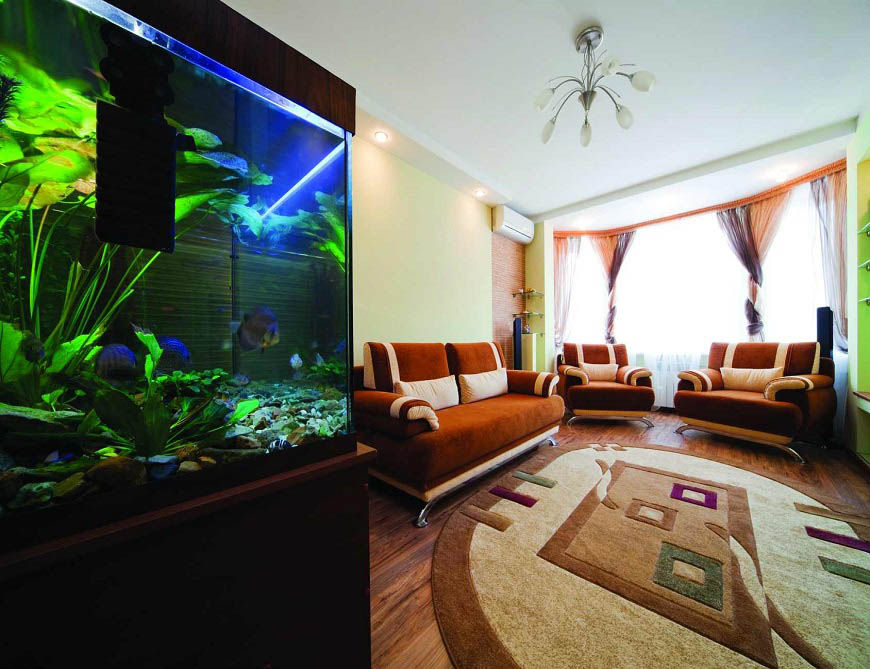 Beautiful aquarium in a room to modern apartment